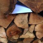 Mini-Bildungs-Schatzsuche: Hinweisversteck