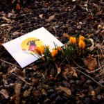 Die Mini-Oster-Schatzsuche: Die Verstecke