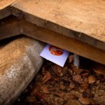 Die Mini-Oster-Schatzsuche: Die Verstecke