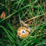 Flaschenpost im hohen Gras versteckt