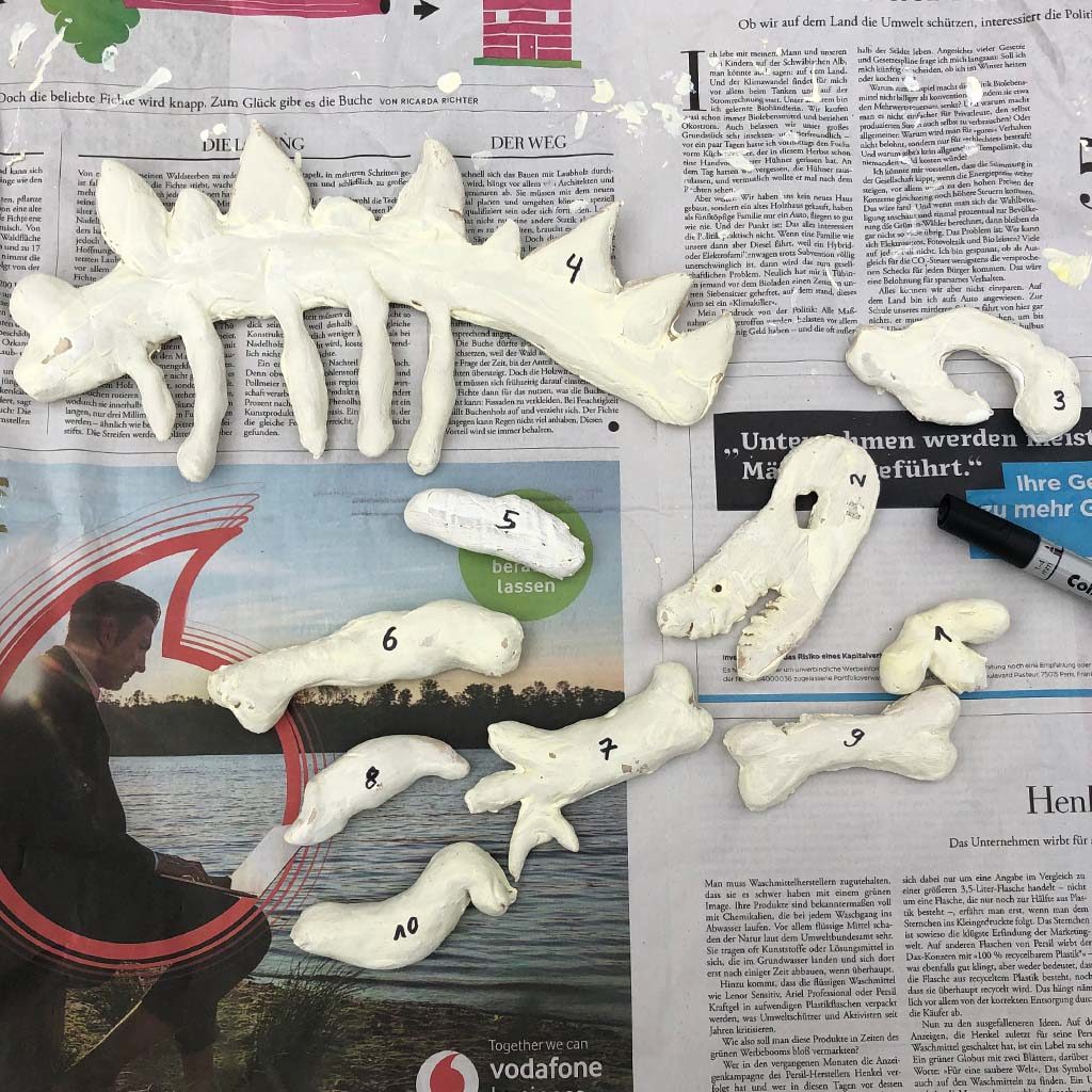 Dinosaurier-Knochen mit Nummern beschriften