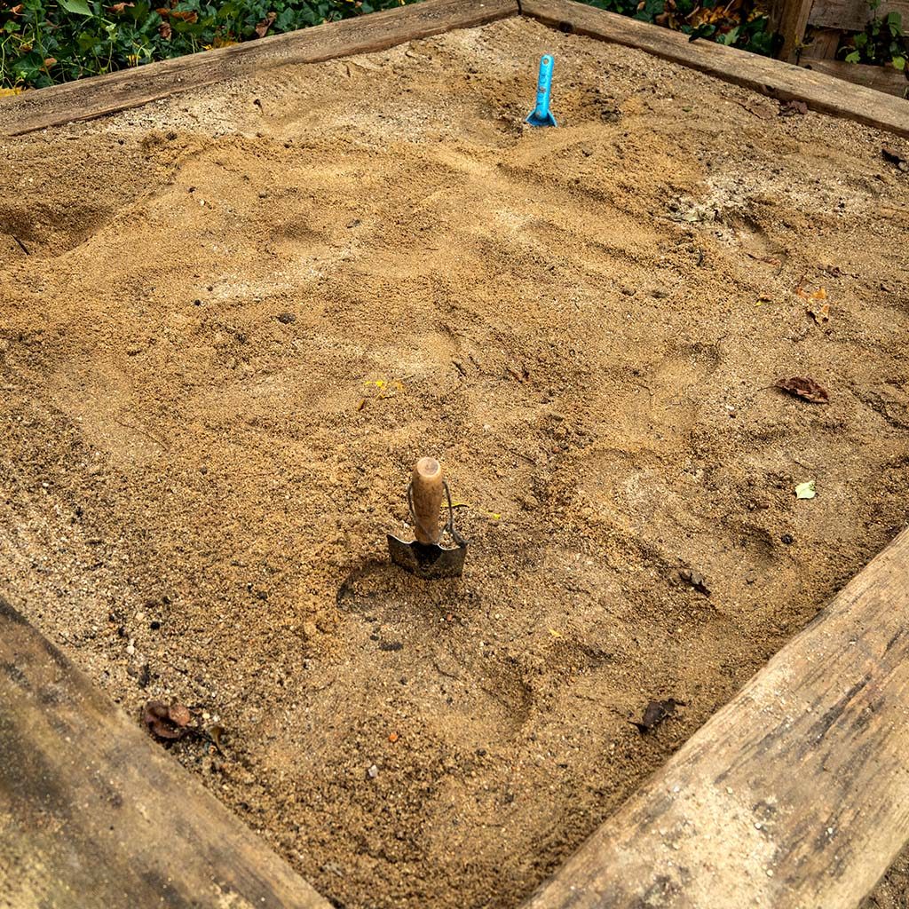 Die Ausgrabungsstätte für Dinosaurier-Knochen vorbereiten