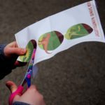 Dino-Schatzsuche: Die Dino-Babys finden