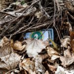 Dino-Schatzsuche: Verstecke mit den Dino-Zahlen kennzeichnen