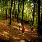 Kinder spielen die Wald-Schatzsuche