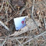 Mini-Bildungs-Schatzsuche: Versteck Nummer 1
