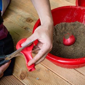  Jonglierbälle basteln - Anleitung - AUSGEFUXT Bildidee 