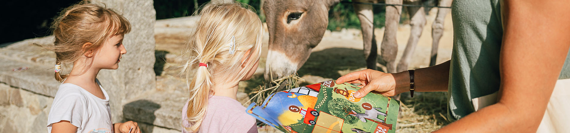 Bauernhof-Geburtstag - Ideen fÃ¼r eine tierisch gute Party