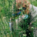 5 Schmetterlinge als Schatzsuchen-Hinweise