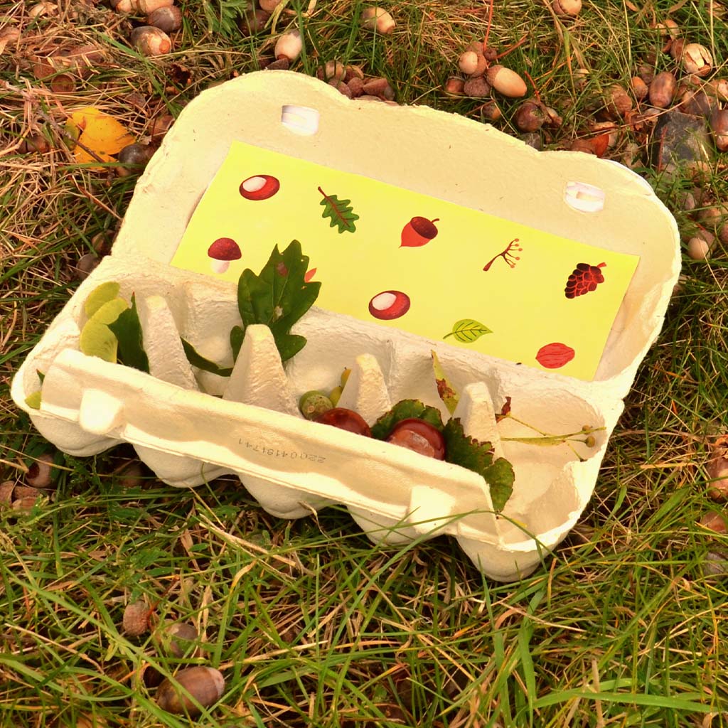 Naturbingo oder Waldbingo Naturbingo oder Waldbingo