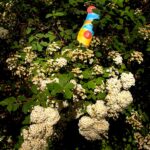 Die Vorbereitung der Mini-Sommer-Schatzsuche