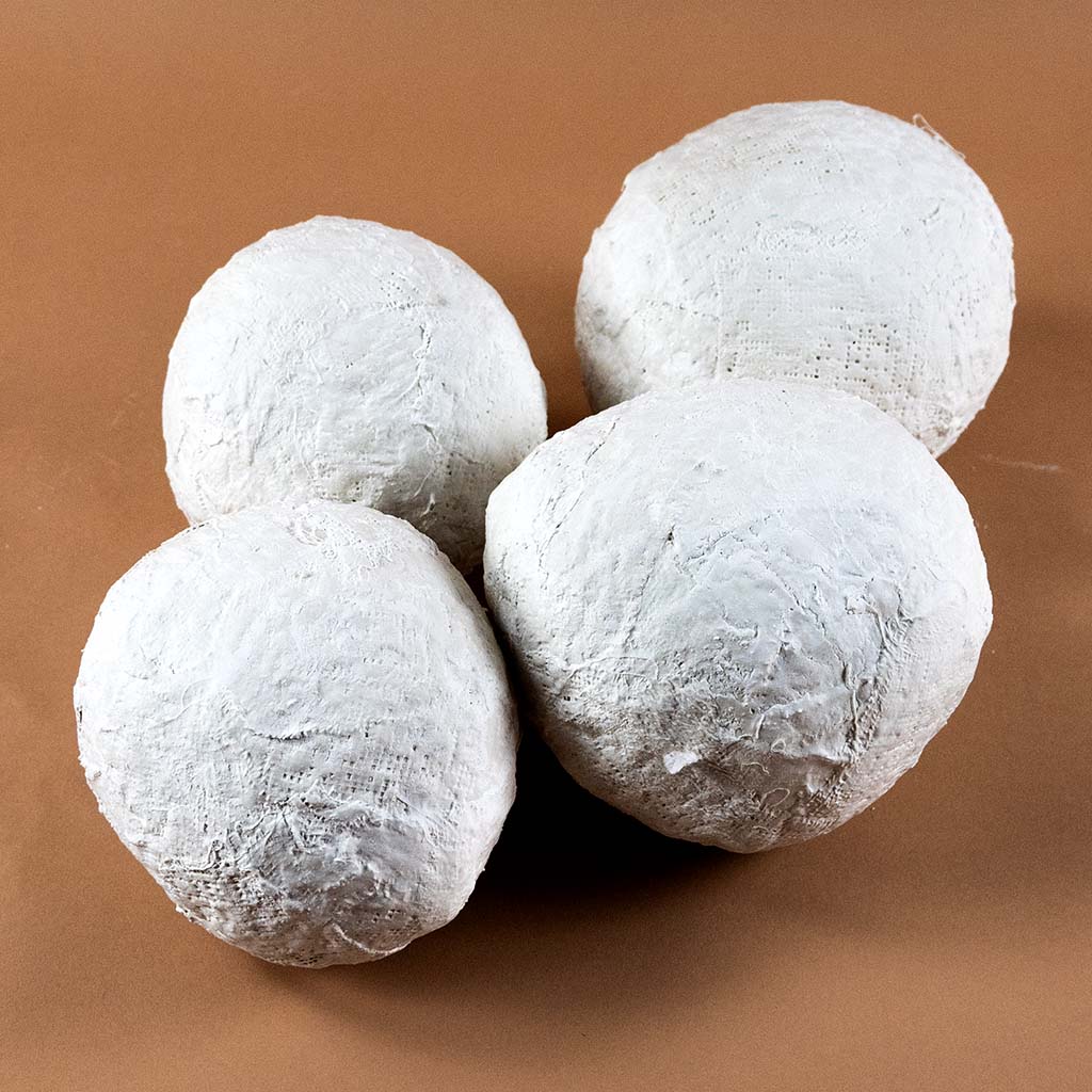 Dino-Eier sicher ins Nest bringen Dino-Eier sicher ins Nest bringen