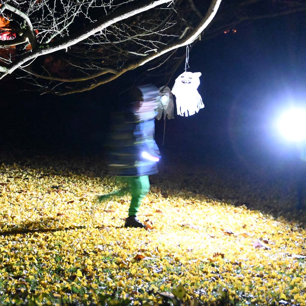 Wenn es dunkel wird: Nachtwanderung zum HerbstgeburtstagEine Nachtwanderung ist im Herbst ein besonders schönes Highlight für einen Kindergeburtstag. Wenn es dunkel wird: Nachtwanderung zum Herbstgeburtstag