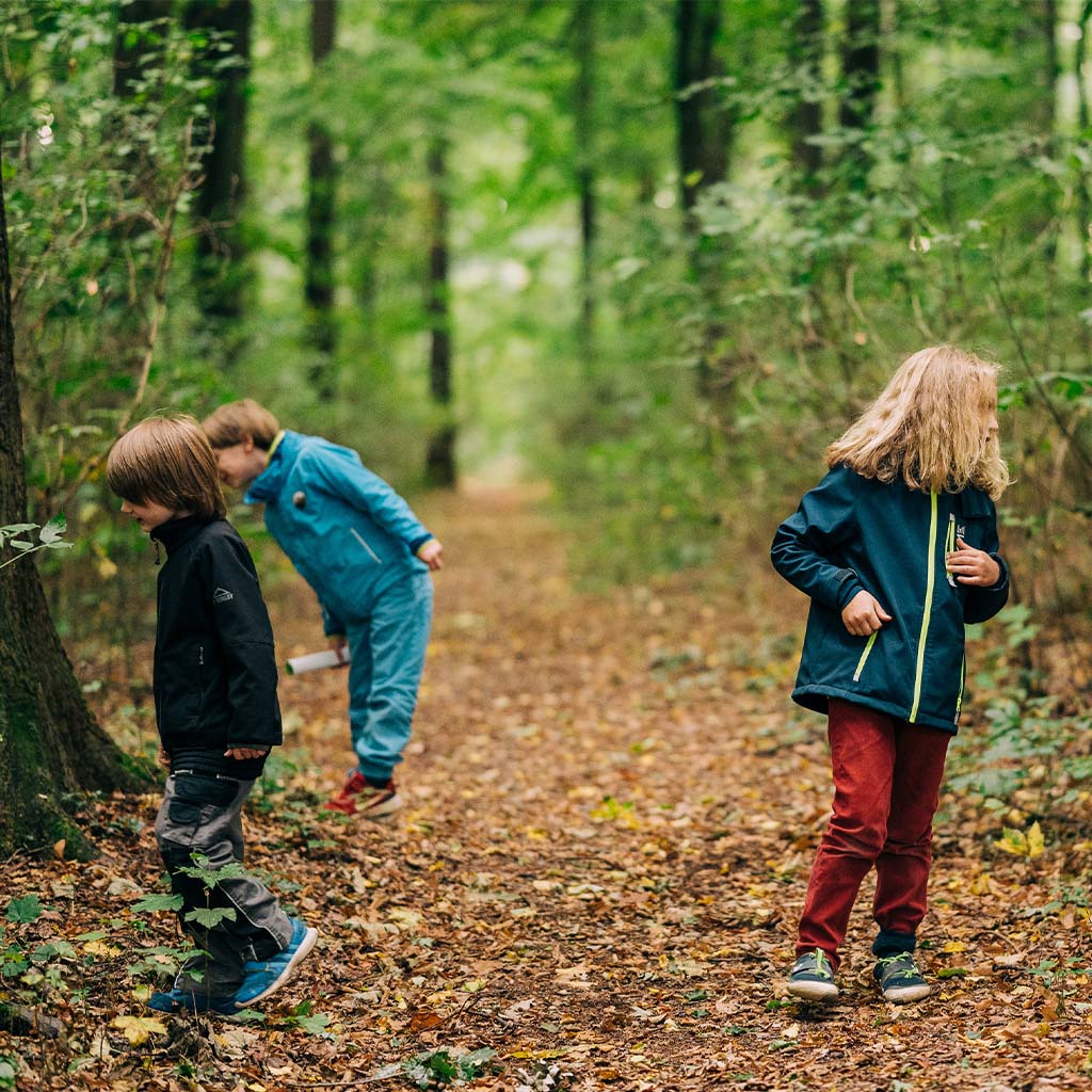 Ein möglicher Ablauf für einen Kindergeburtstag im Wald