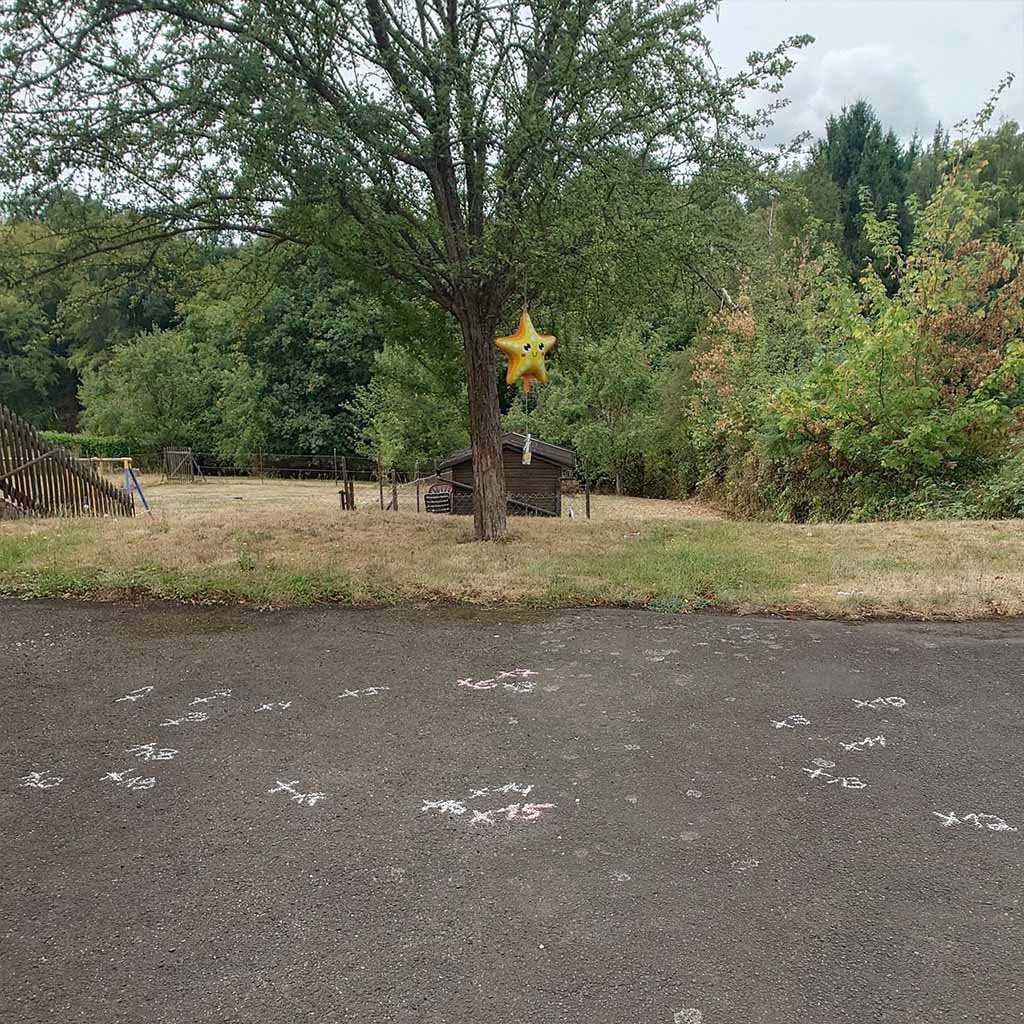 Die mit Kreide vorbereitete Hammerhai-Station Die mit Kreide vorbereitete Hammerhai-Station