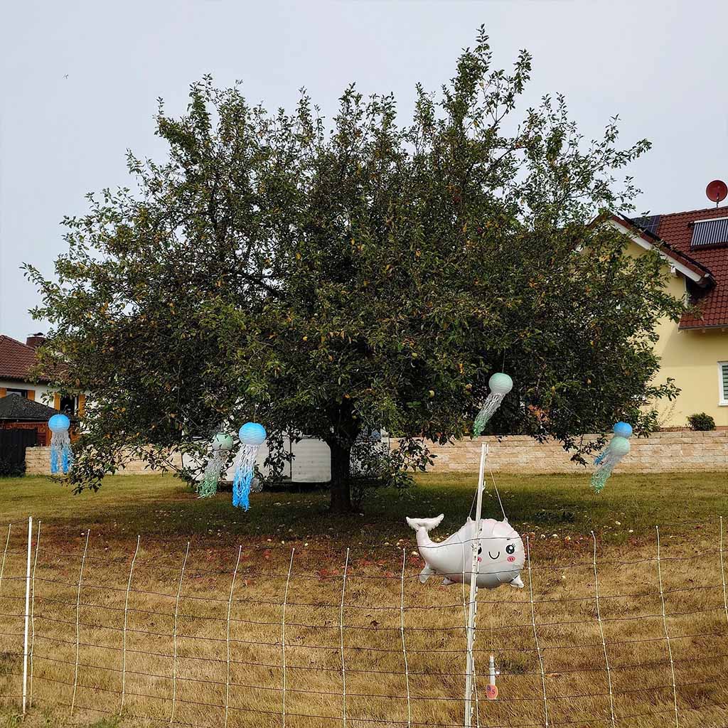 Die Quallen-Lampions im Baum Die Quallen-Lampions im Baum